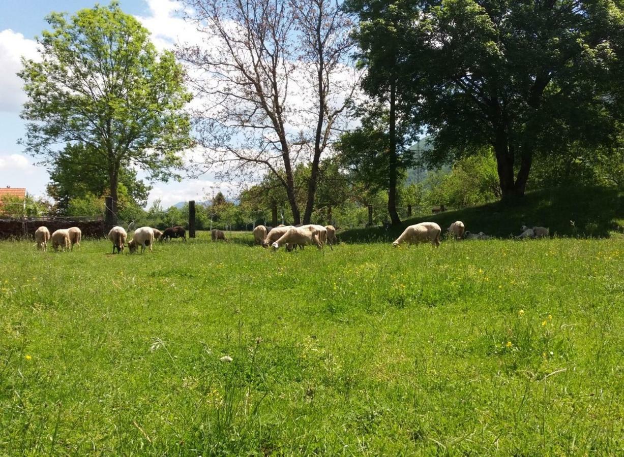 Kuca Za Odmor Dikka Brusane Lika Exterior foto