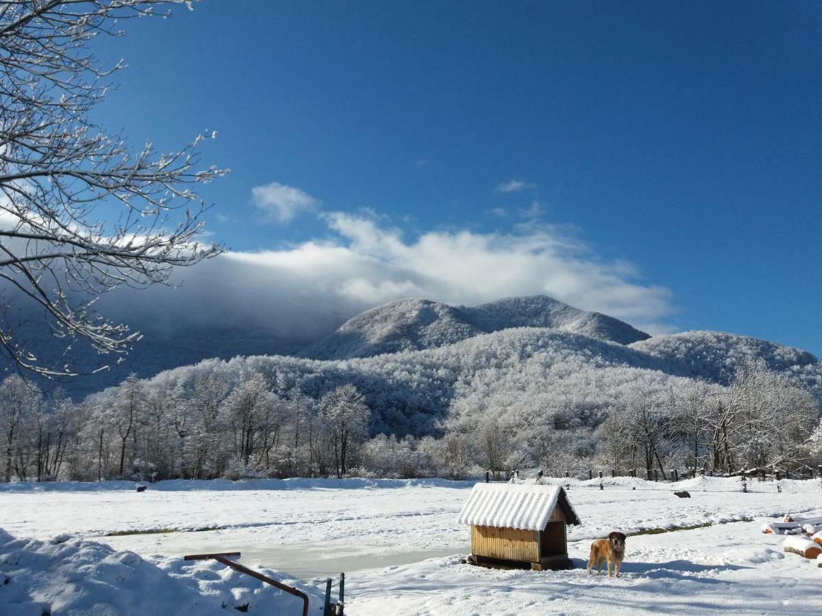 Kuca Za Odmor Dikka Brusane Lika Exterior foto